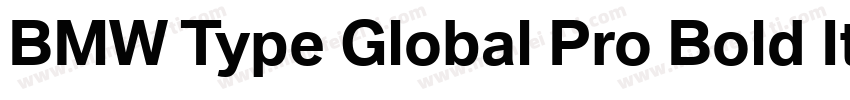 BMW Type Global Pro Bold Italic字体转换
